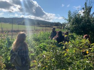 Female with long hair looking at a group of individuals in vegetation.