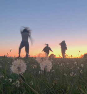 Three individuals in a field of flowers as the sun sets.