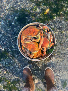 Birds eye view of a pair of boots standing next to a bucket of crabs